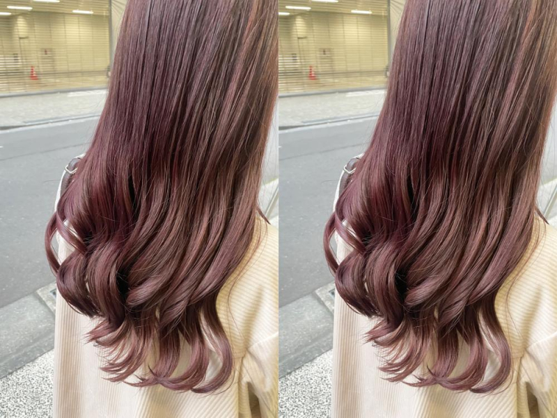cassis lavender◎高橋〈仙台〉