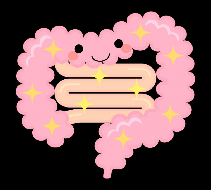 【みんなで腸活！】