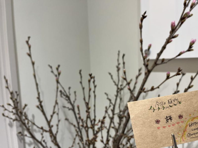 Es.の“Flowerニュース”♪