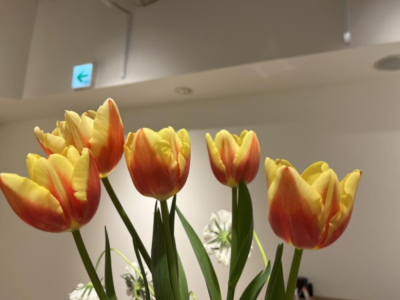 Es.の“Flowerニュース”♪