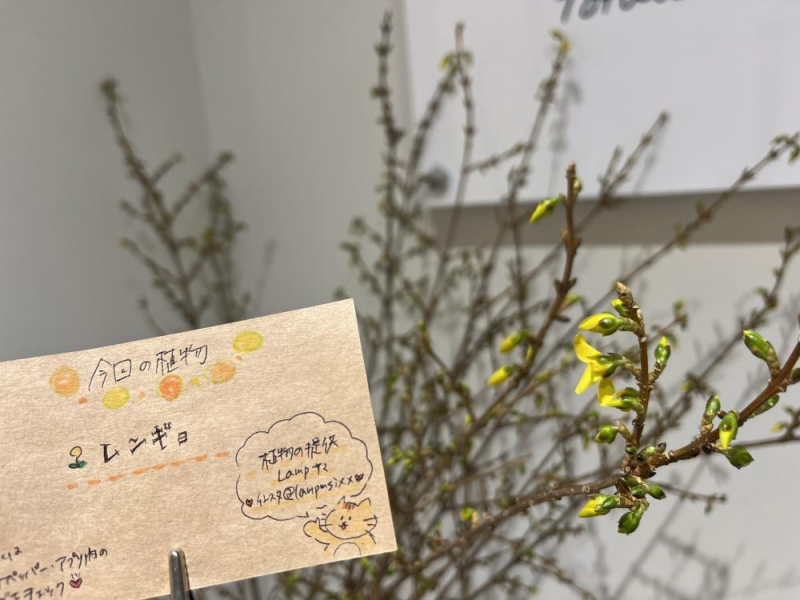 Es.の“Flowerニュース”♪
