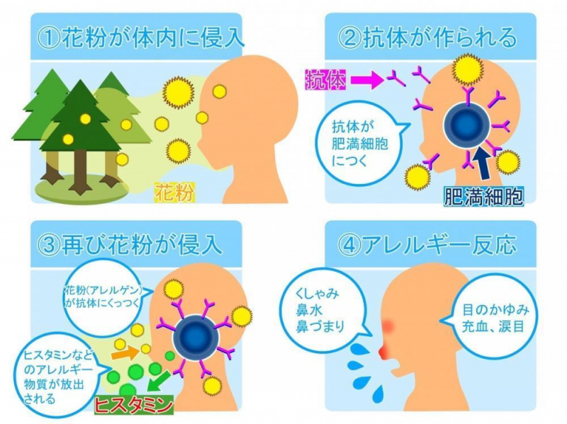 【花粉症お困りの方へ！】
