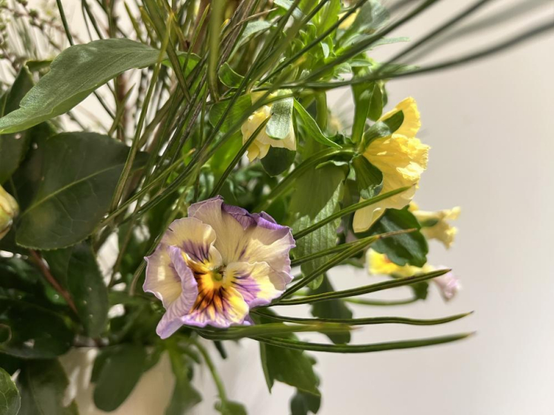 Es.の“Flowerニュース”♪