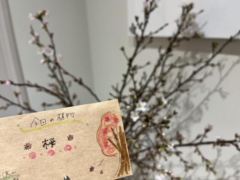 Es.の“Flowerニュース”♪
