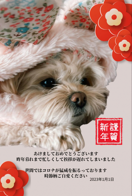 １４・１５・１６日開放！！