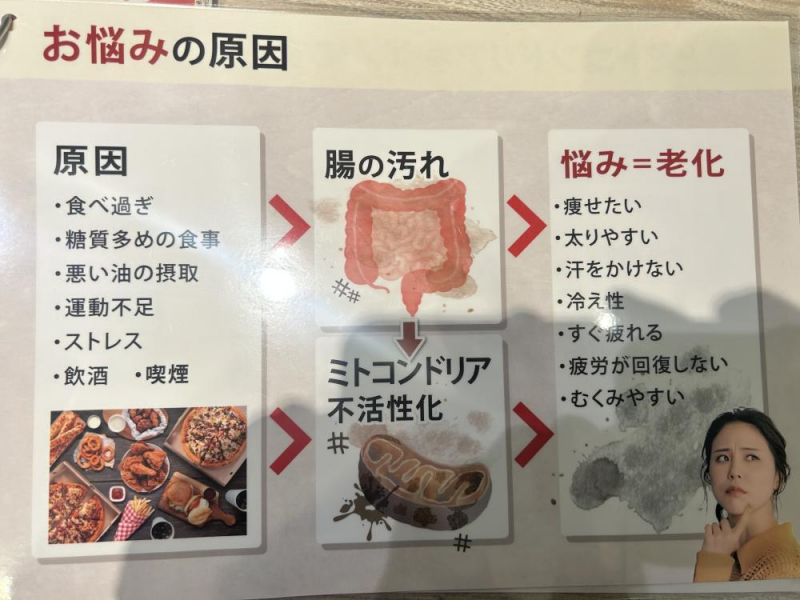 【痩せる仕組み】