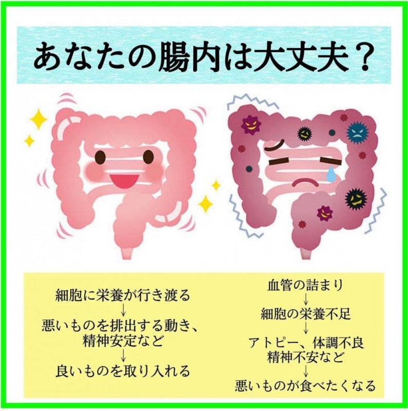 腸内整えてますか？