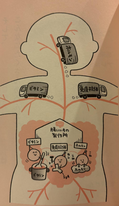 全身の健康の9割は腸